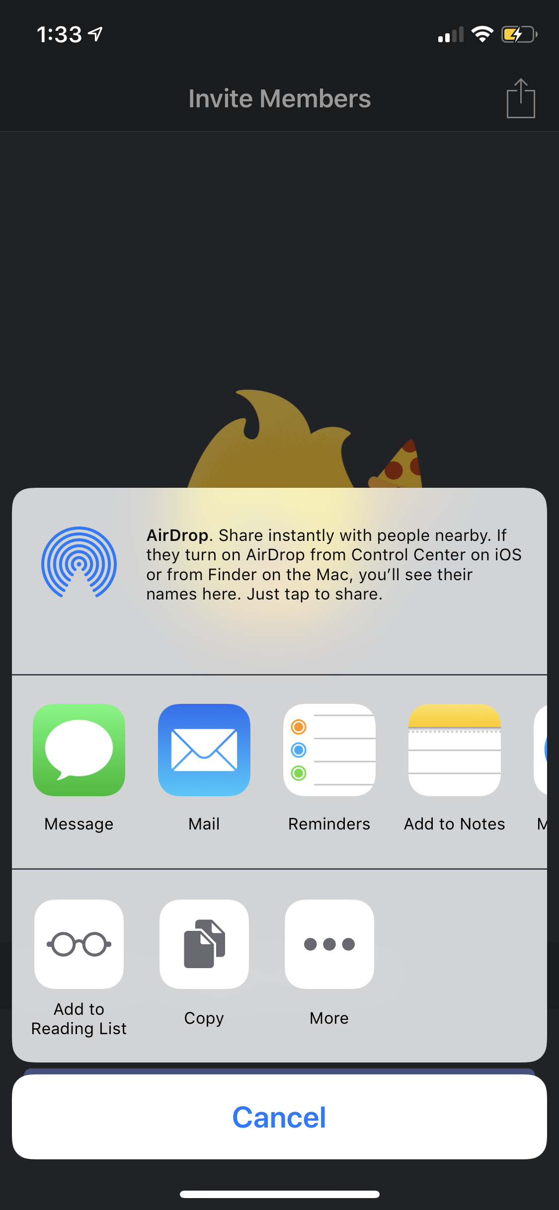 Copy share xcode button in App Extension