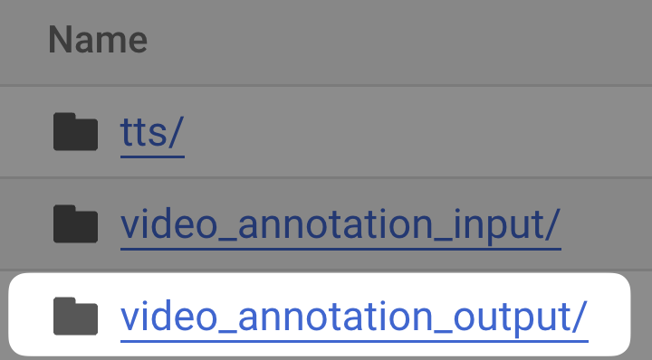 The Video Annotation Output folder